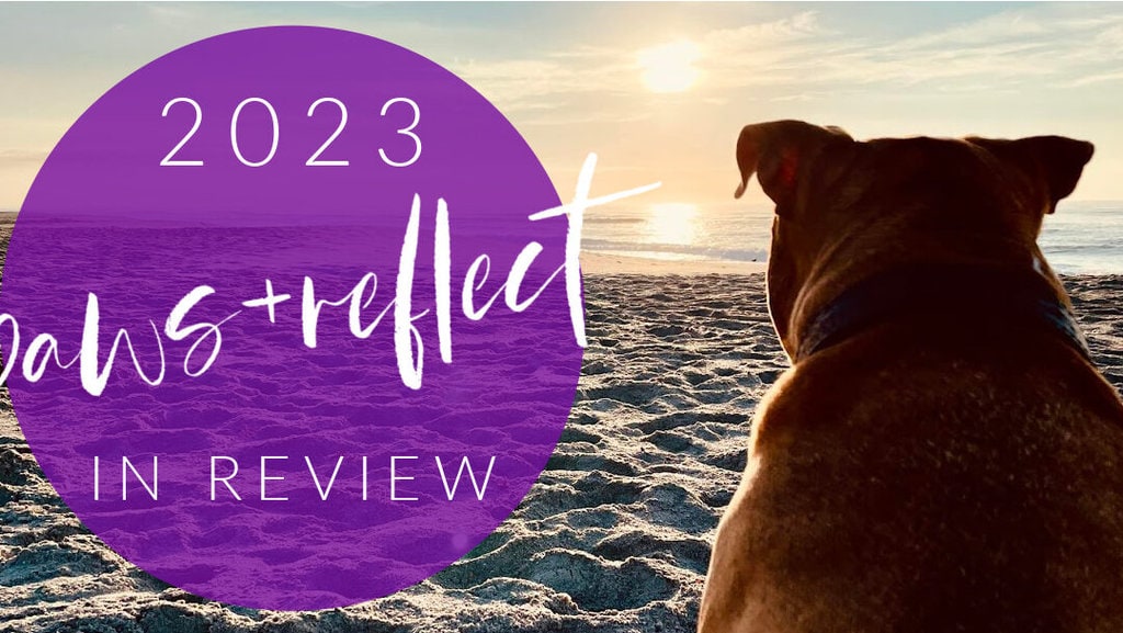 2023 Paws & Reflect!