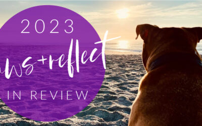 2023 Paws & Reflect!