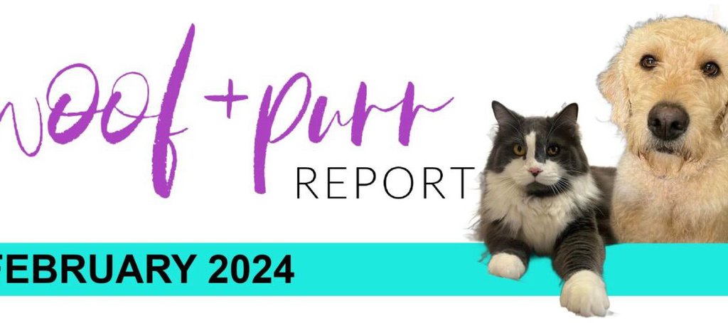 Woof & Purr Report January 2024