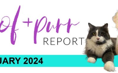 Woof & Purr Report January 2024