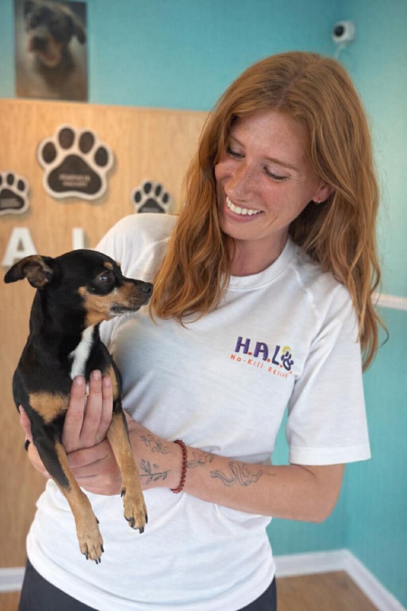 Diossy Tees - Image 23