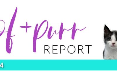 Woof & Purr Report Summer 2024
