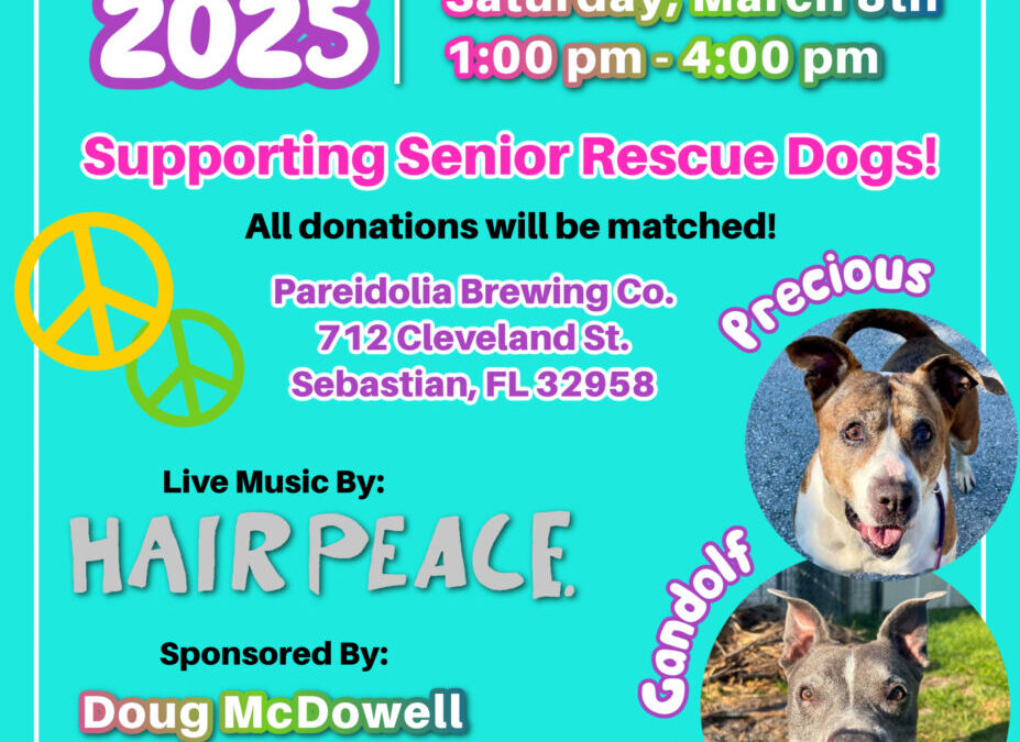 Woofstock 2025!