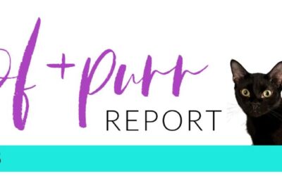 Woof & Purr Report Spring 2025