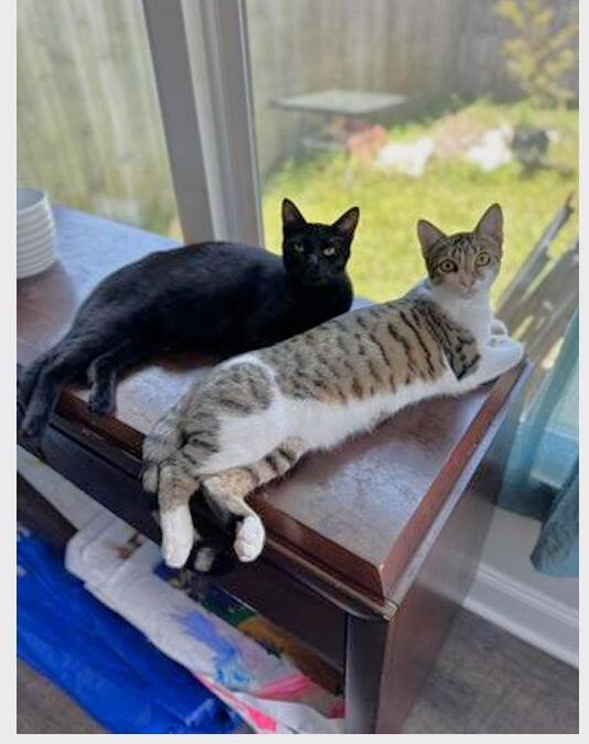 Elsa & Sally