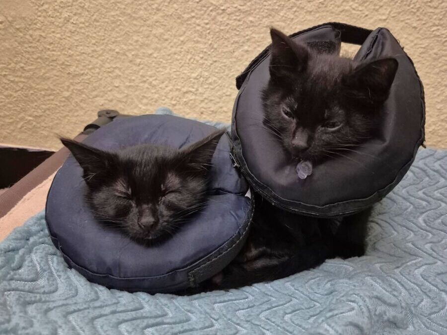 Cece & Ella