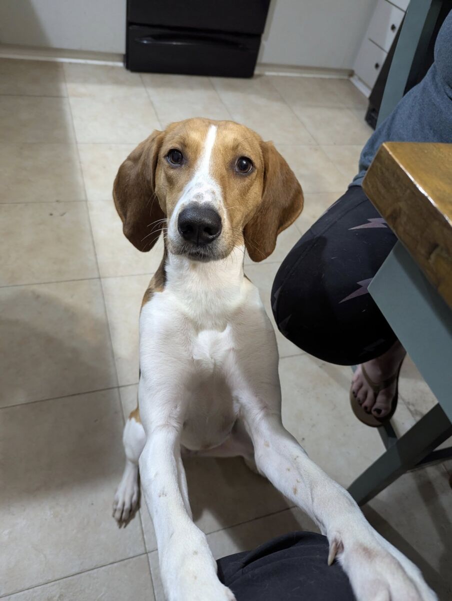 e927975Ellie2680ae5e92e7fa