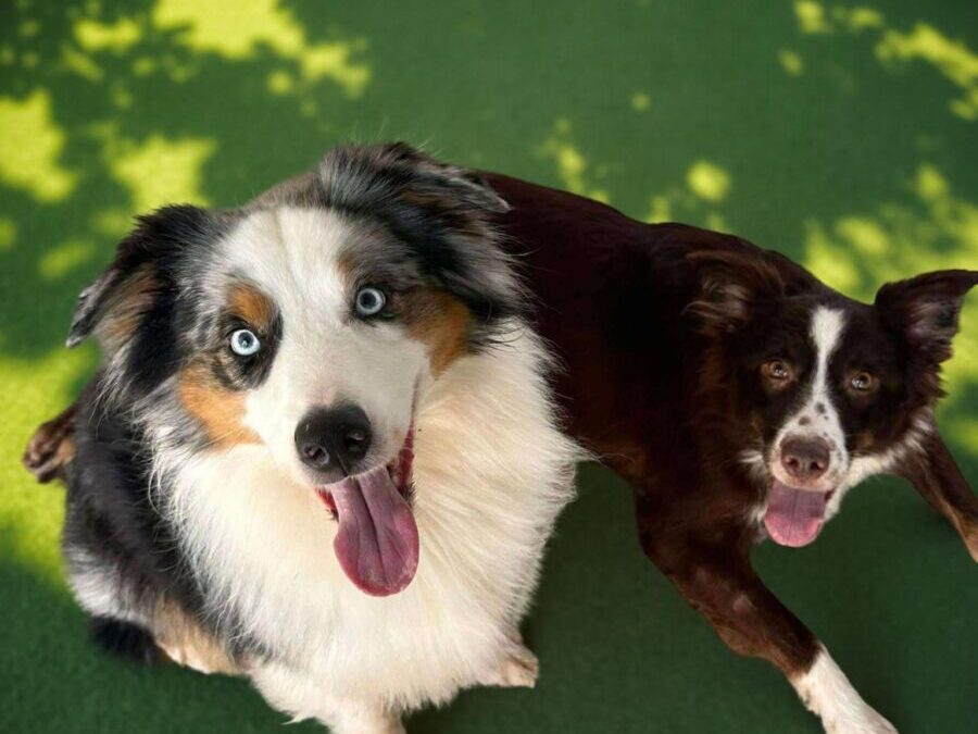 Brand & Rigby
