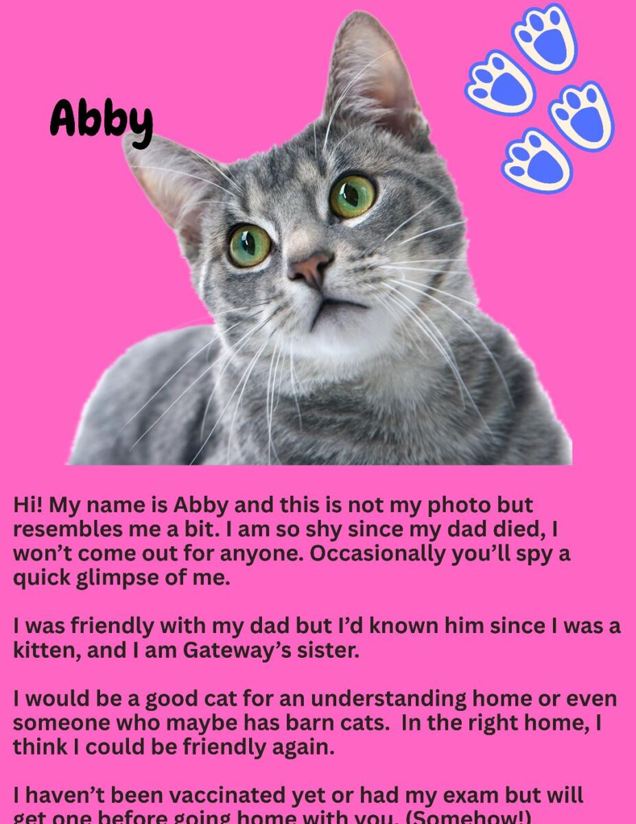 Abby