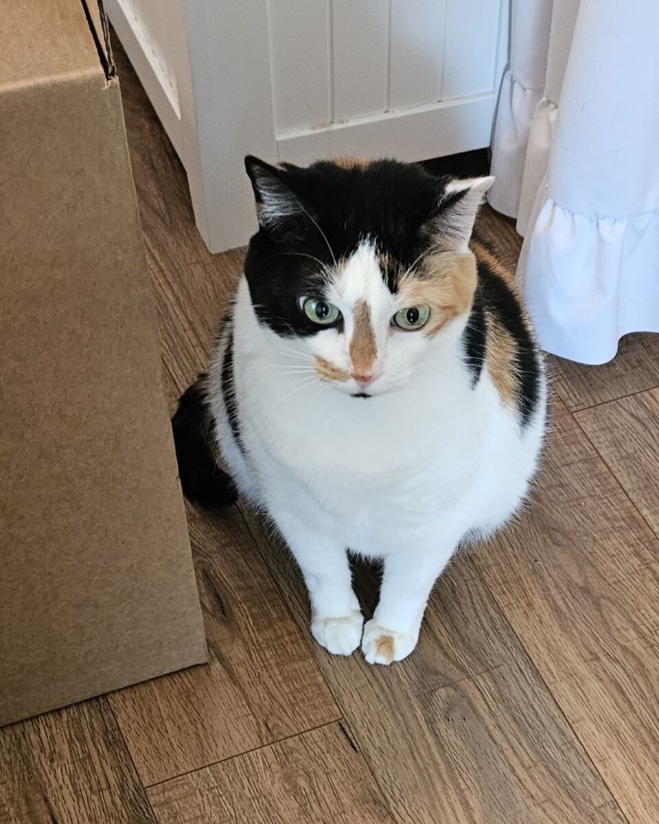 Cali