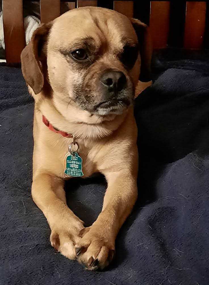 Jake