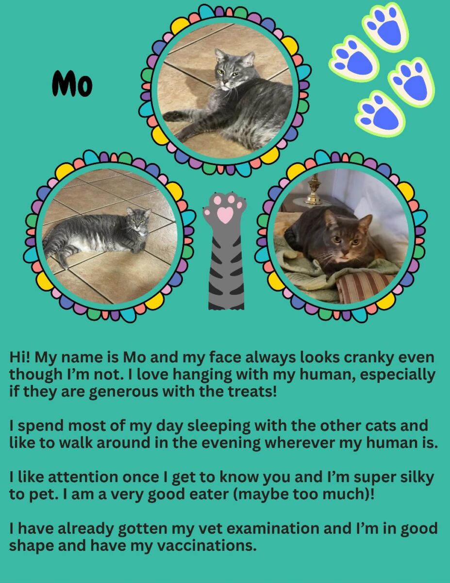 Mo