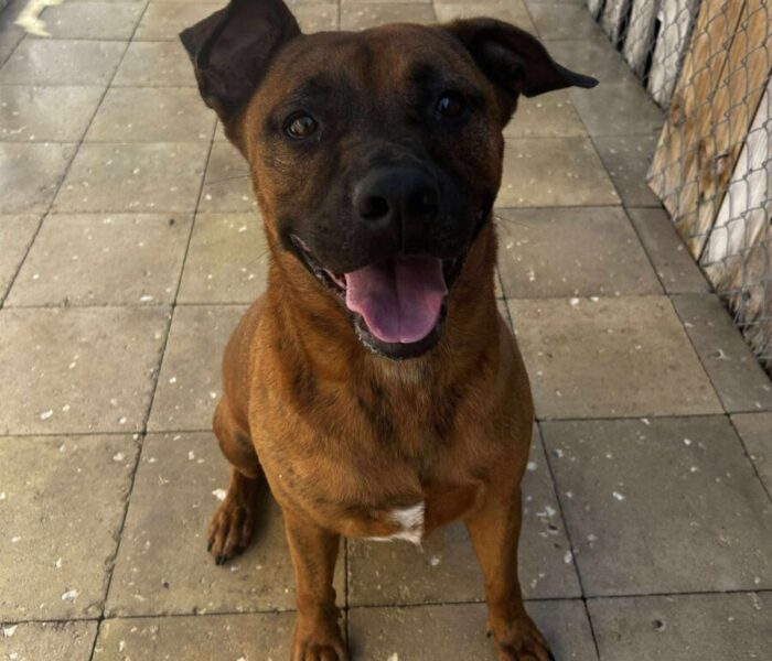 522650949_1078463774490765_4827651306060594465_n