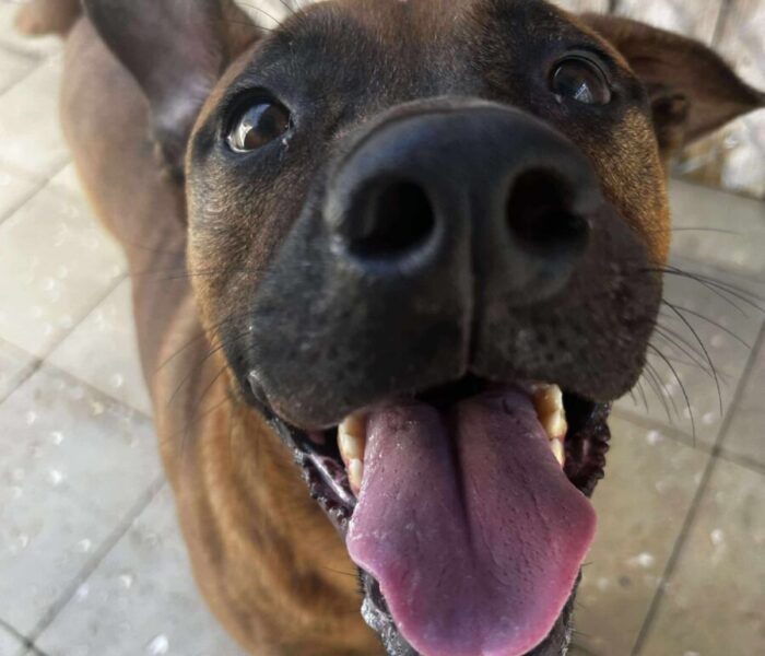 524207795_1412688900059065_7522173529209571331_n