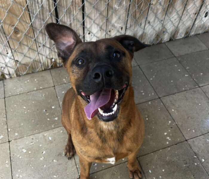 524617205_602987879545817_6221221498021317221_n