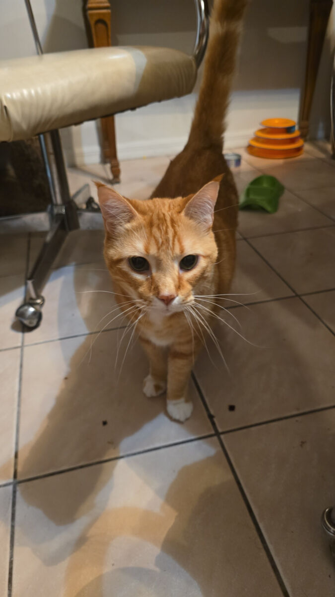 Theodore