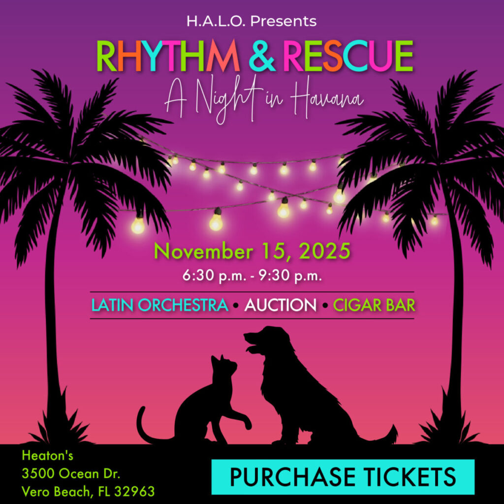 Rhythm & Rescue - Website Pop-Up