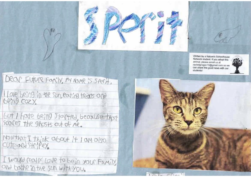 Spirit
