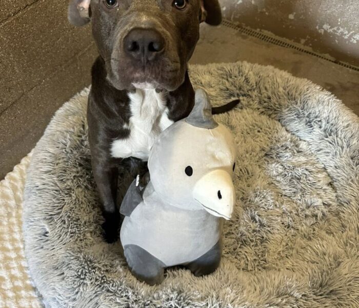 571326866_716841394766529_1120243983836504639_n