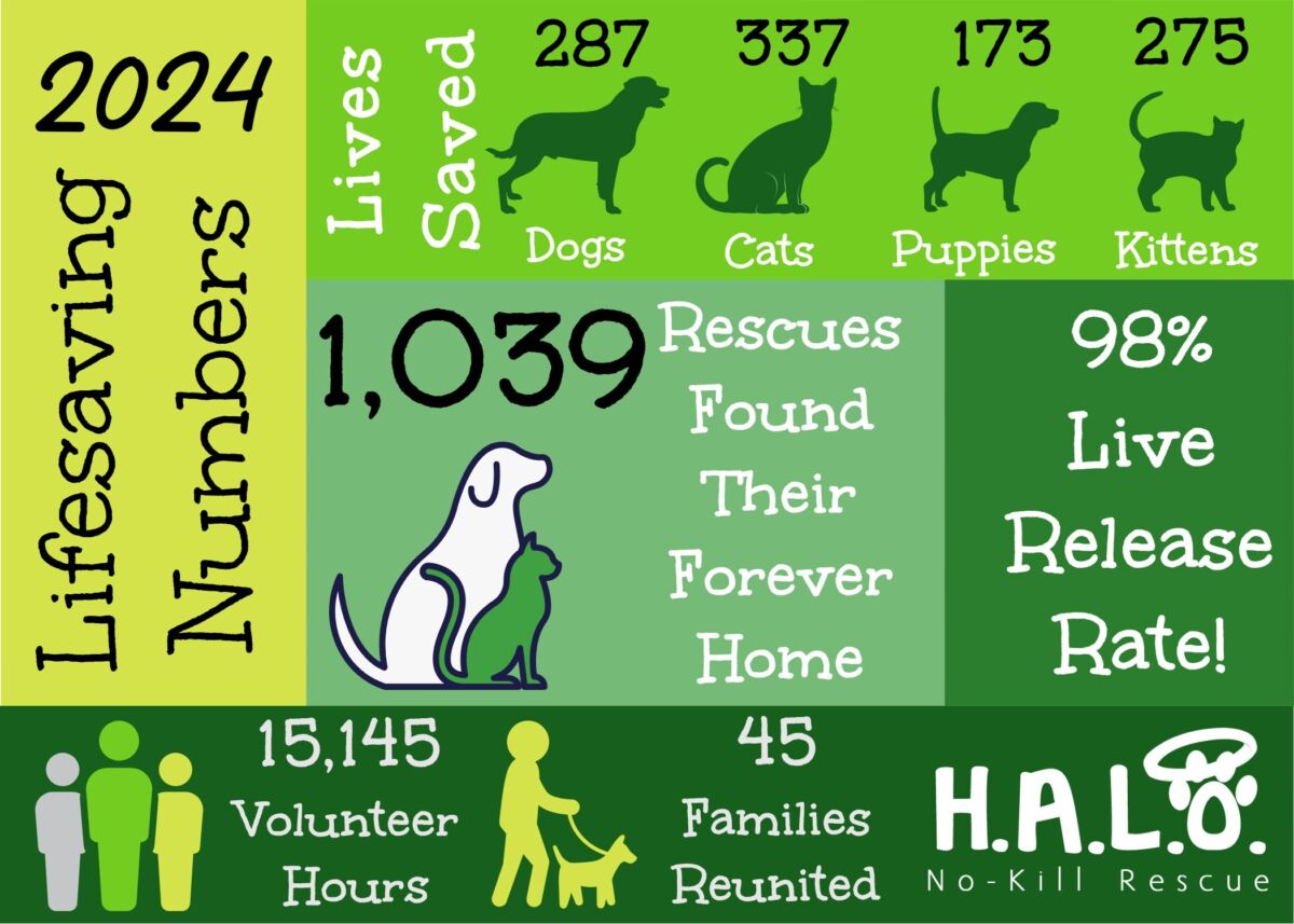 Lifesaving Numbers 2024