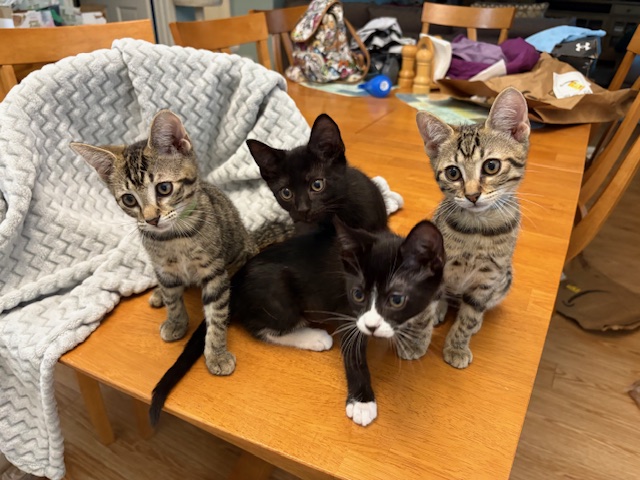 Spookette Batty Ghostie and Lilith