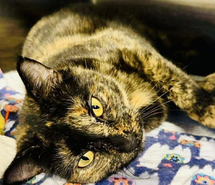 112e5df3-ec41-47e8-b1c9-c2e36ae9ef21