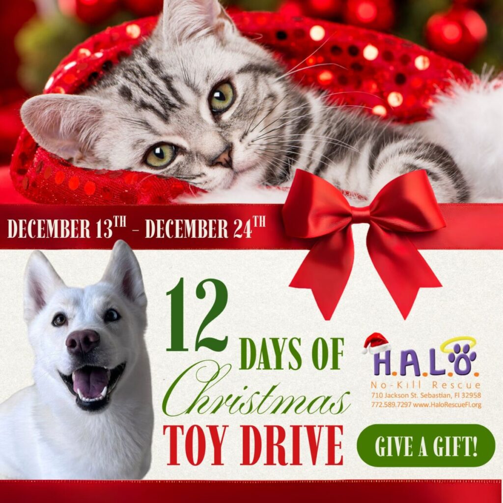 12 Days of Christmas Pop-Up