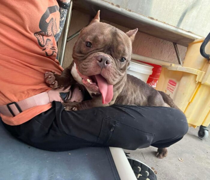 1923e545d18047458cdb3853901c8a70