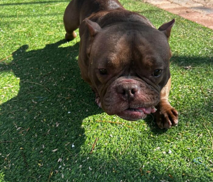 32a4789cce5ab35ecc7454d980d03017