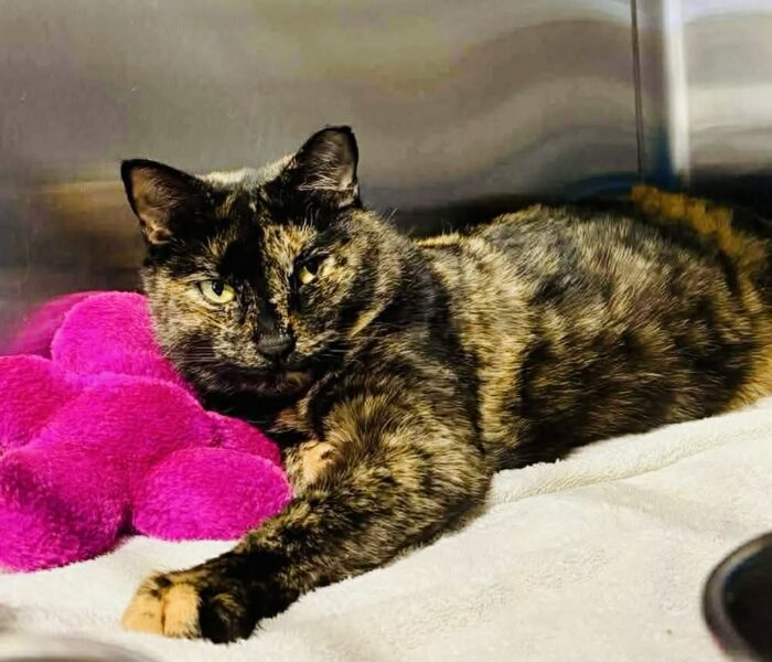 7d6350aa-aec0-4914-b69f-1f3347aad24d