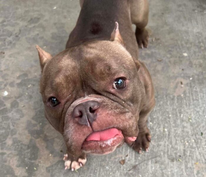 f447cc88204f0f337be4e9a66d37aee0