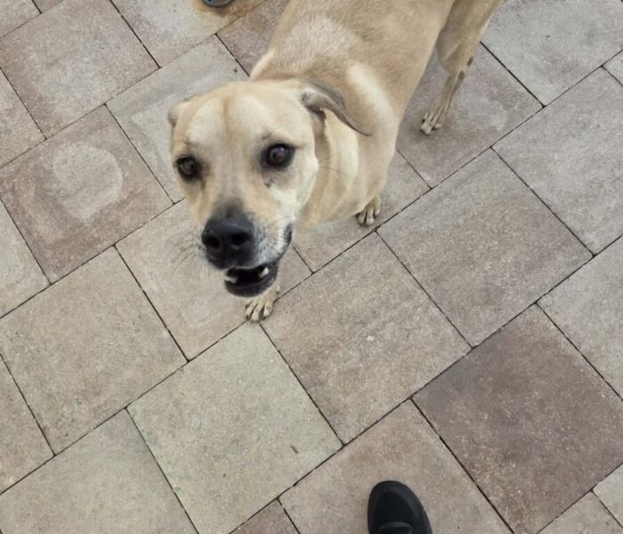 615458732_649671911538522_4224832918476562021_n