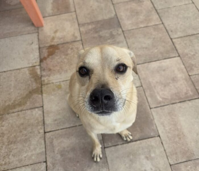 616135919_2608201682878517_7698939725423132173_n