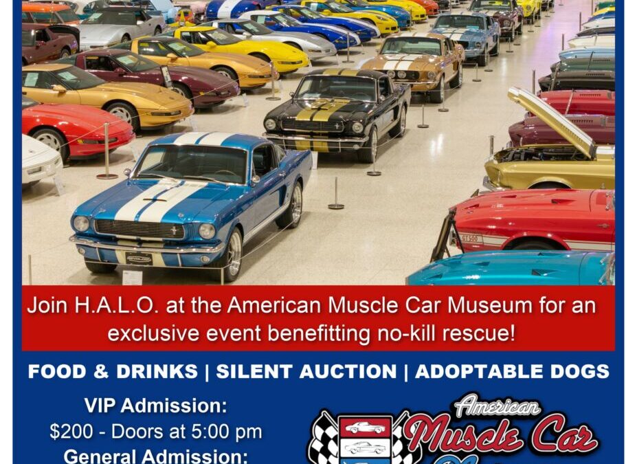 Muscle Car Museum 2026!