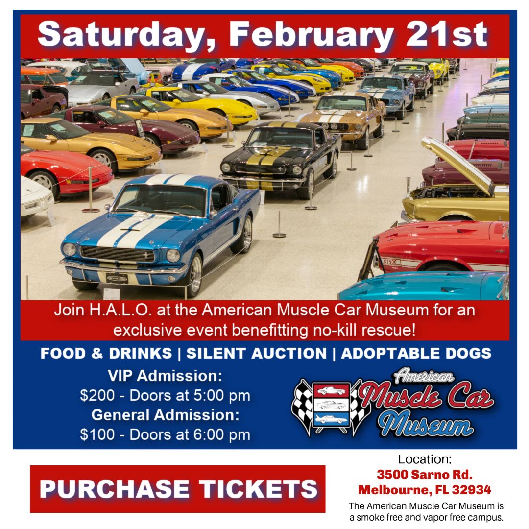 AMCM Flyer - 2026 - Pop-Up