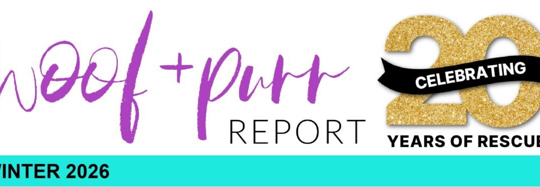 Woof & Purr Report Winter 2026
