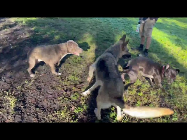 Khloe and Friends Pt. 2