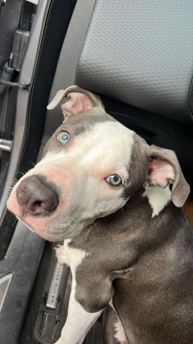 072c17d62EAD05B-AAF7-4DD6-9846-716825D5C88769867907342c0