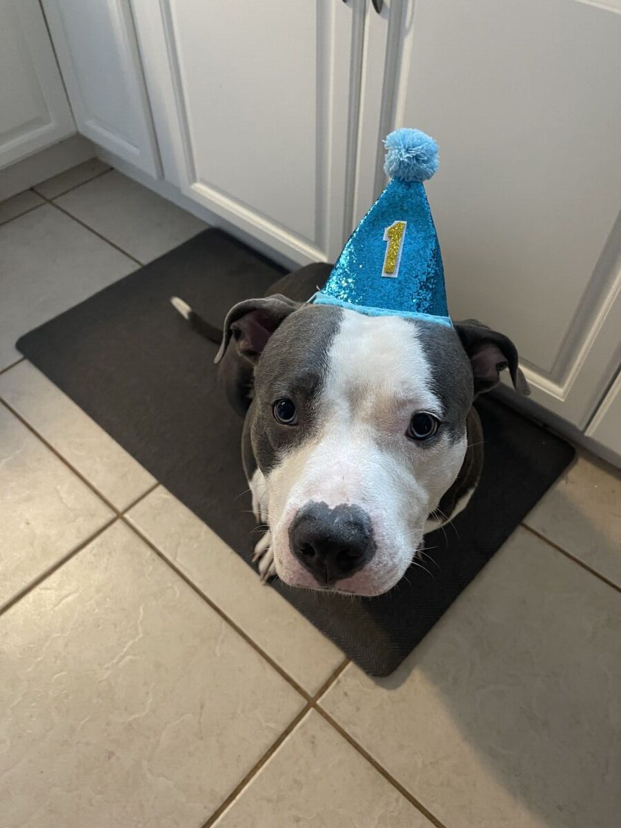 07ab339IMG_157569867907b8b7e