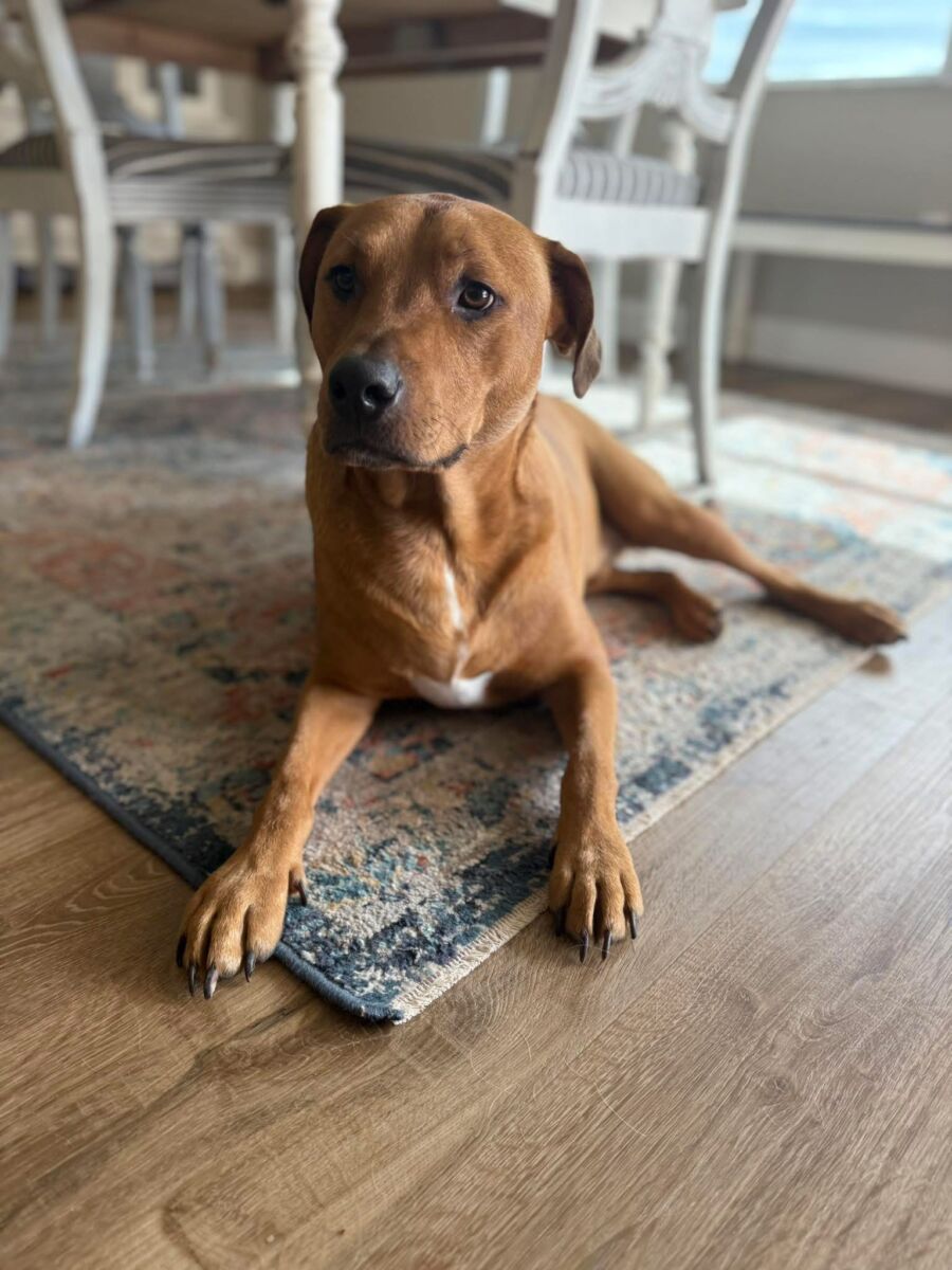 11c6318IMG_1509699f0711cc8e0