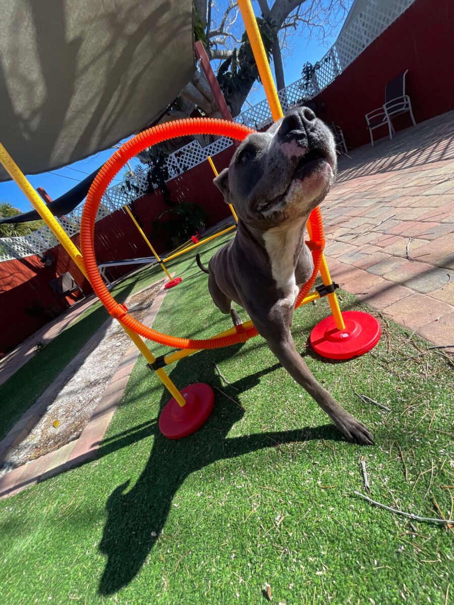 1a1b57de0211d93b1d15bfe6040874cc