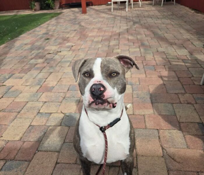 1d3710a9e9efae96afb386d6a7e738e1