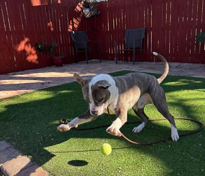 2587fbb64a39915842048c705cb3dc63