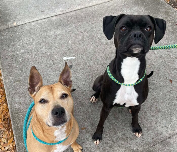 2673e0a700086093c1faf169dbb6dbff