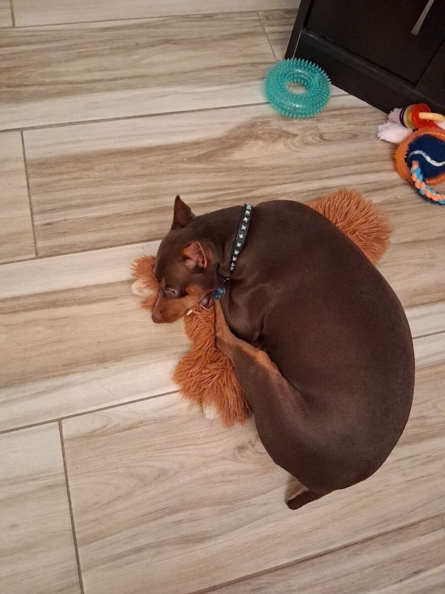 297b25e4b0aaf35-c7fd-4d8c-83da-60ac79723946698b8f2987ddd (1)