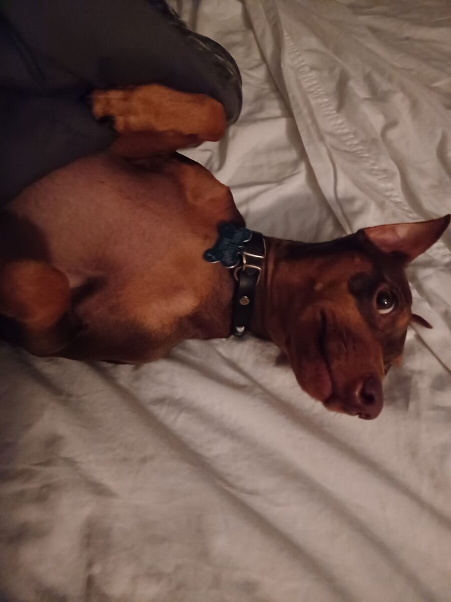 2a0af06IMG_20260204_075651_(1)698b8f2a15c18