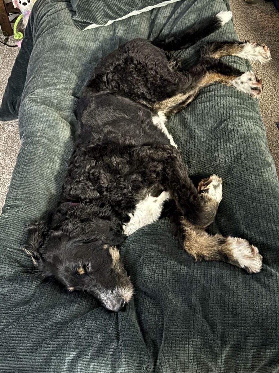 31cbcacIMG_17026993f631e5374