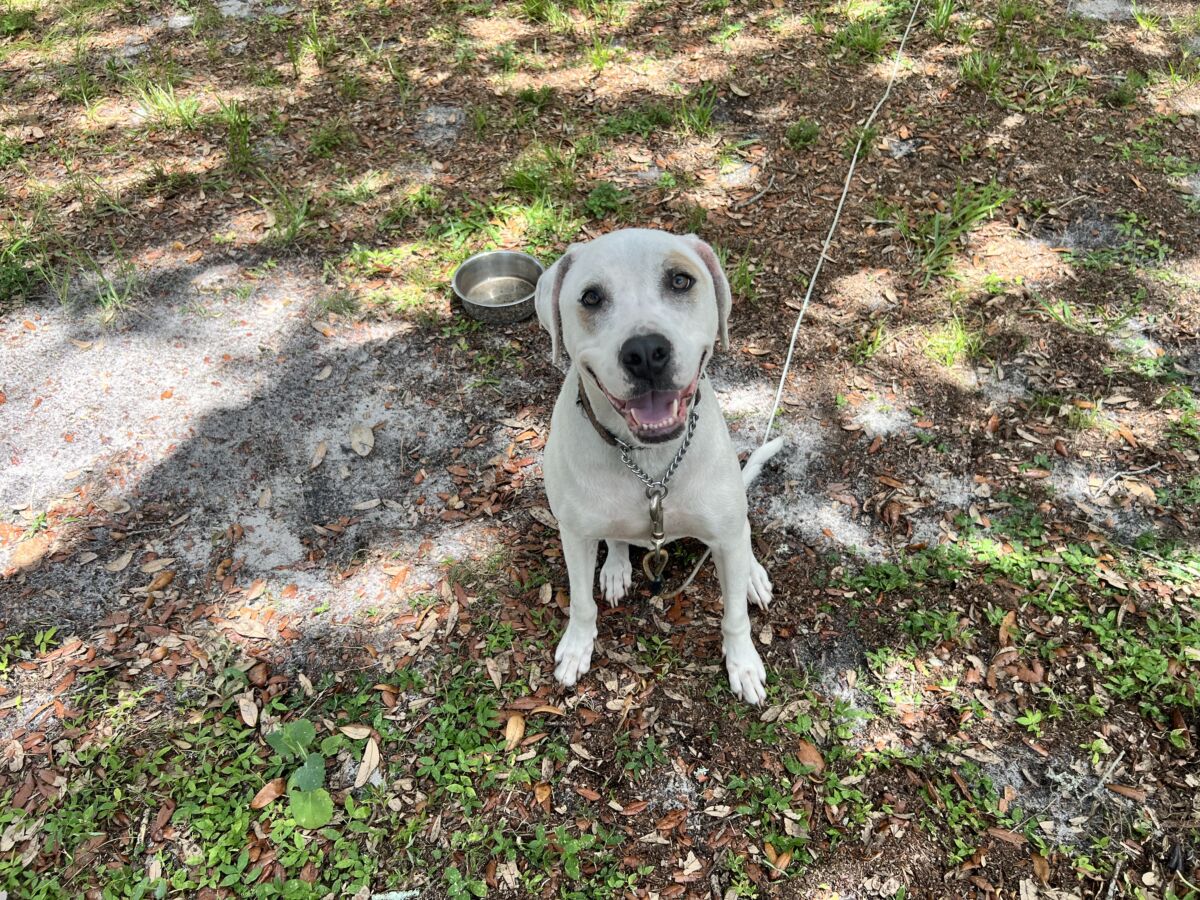 3ed1c87IMG_317469912a3eeec62