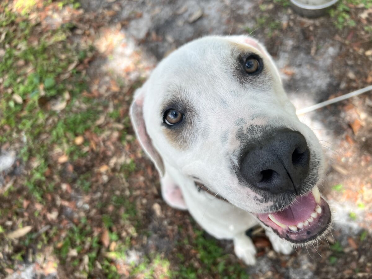 3ef192fIMG_317969912a3f22206