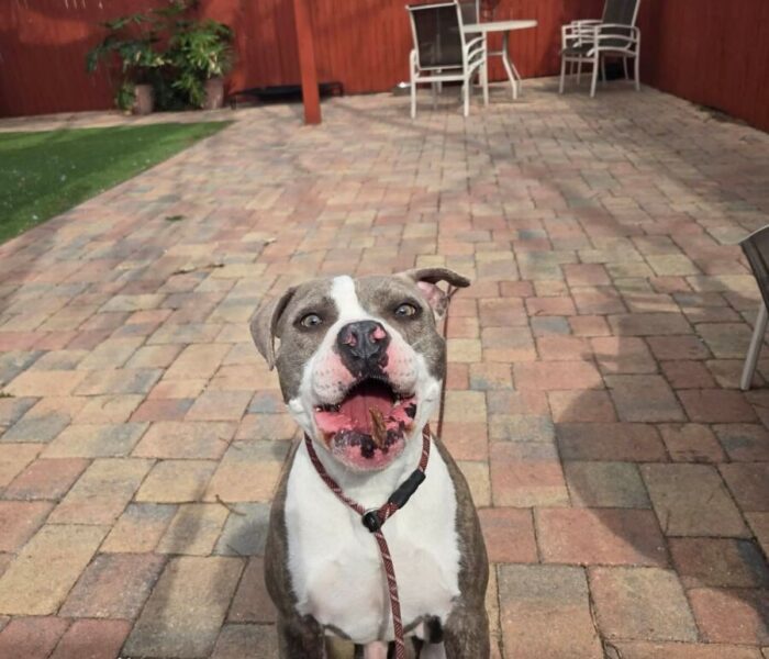 42ef2b97afaa5a4fc9c7aed05dba3018 copy